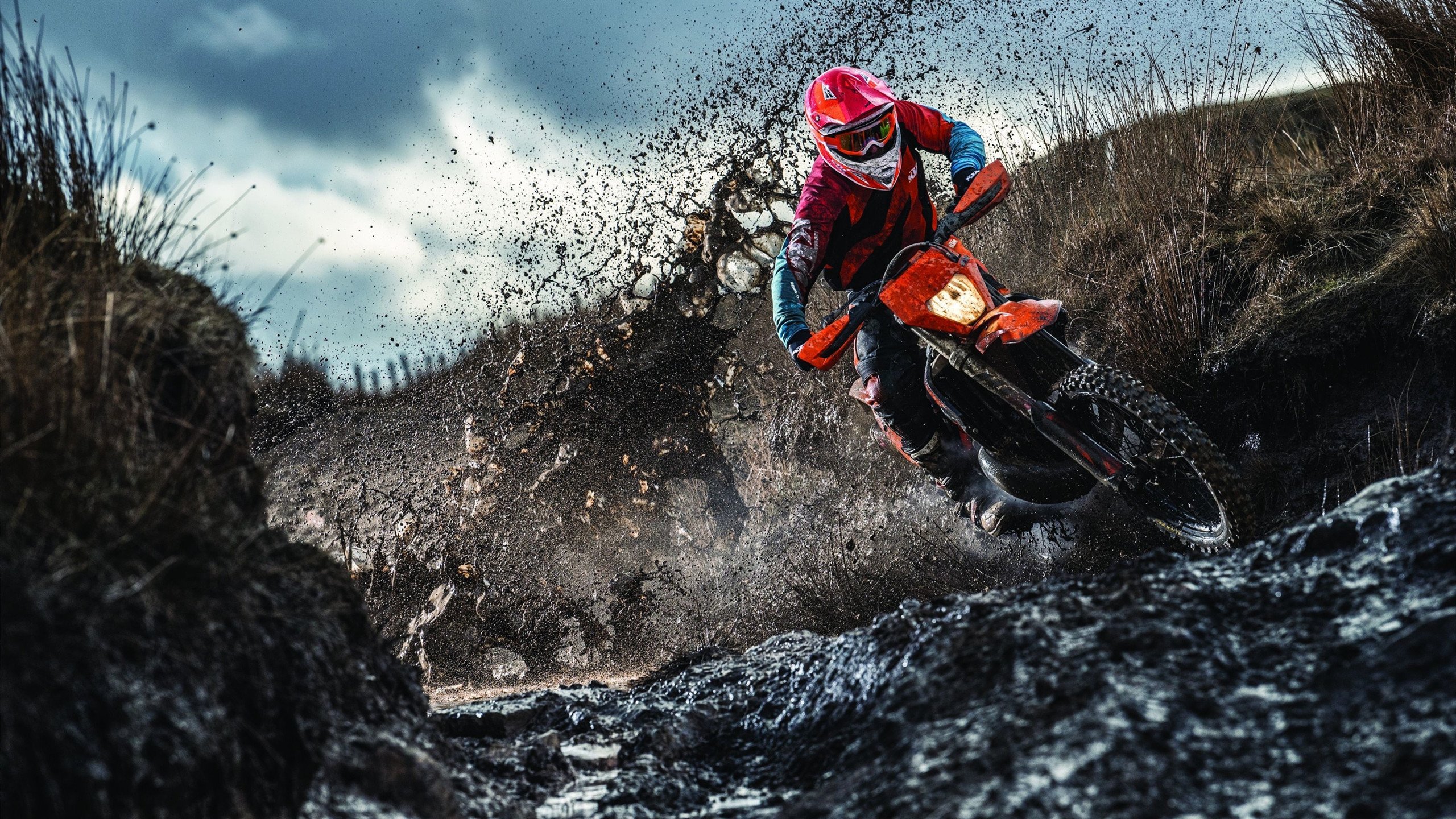 _运动员家庭支持:幕后温馨故事感动人心_,运动员 家境